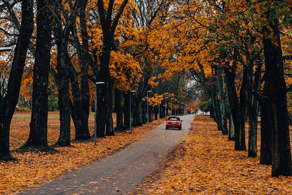 Gratis parkering Växjö